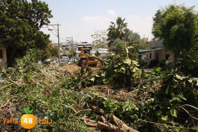 hadmqobtan423zoher (46).JPG